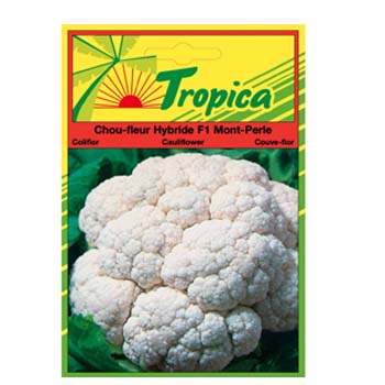 TROPICA COLIFLOR CAULIFLOWER 50