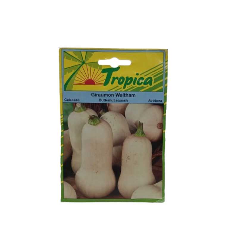 TROPICA BUTTERNUT SQUASH 2G