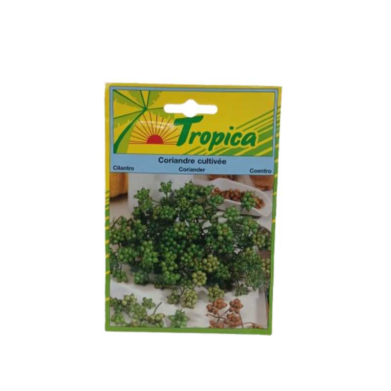 TROPICA CORIANDER 5G