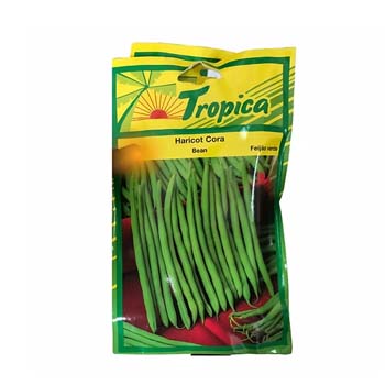 TROPICA JUDIA BEAN 100G
