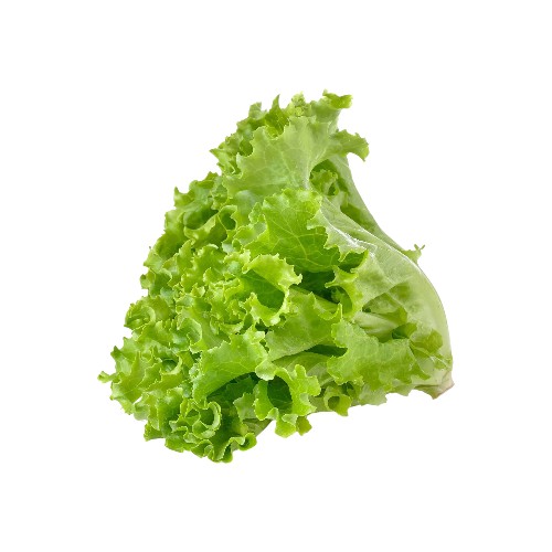 FRESH LETTUCE 250G SPARG