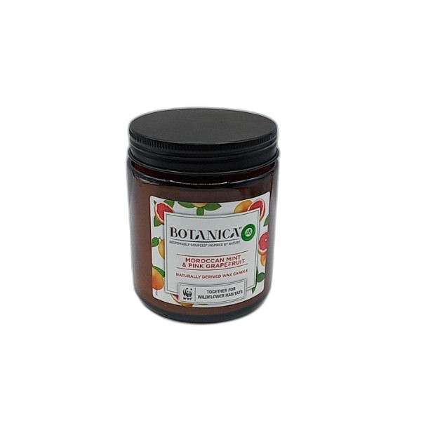 BOTANICA MINT CANDLE 205G