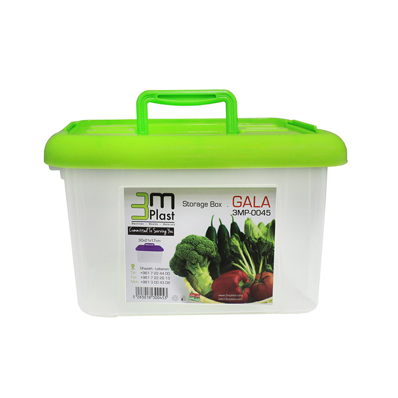 STORAGE BOX 30X21X17CM SMART 15