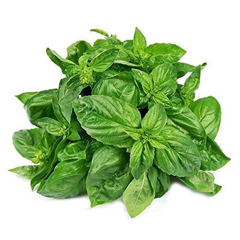 BASIL LEAVES 50G HAPPY HKAF