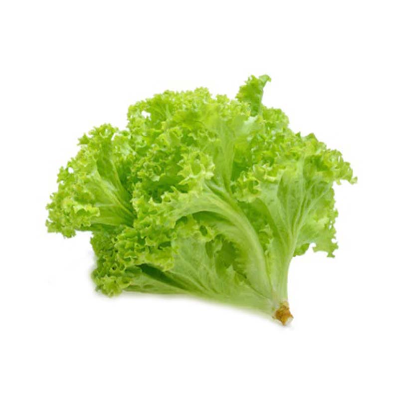 LETTUCE 200G HAPPY HKAF