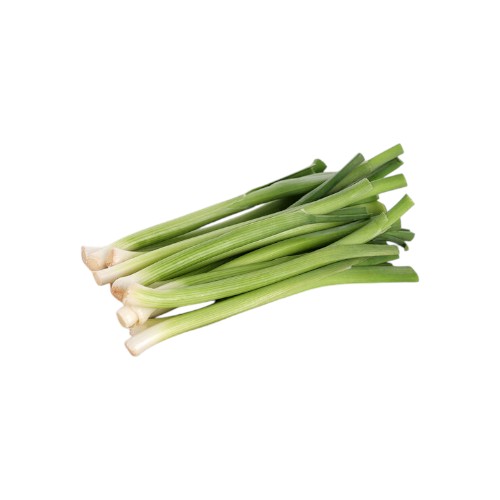 MINI LEEK