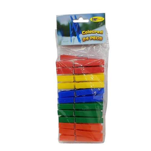 EVERPACK PEGS COLOURED 24PCS