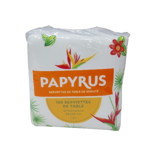 NAPKIN 100 SHEETS PAPYRUS