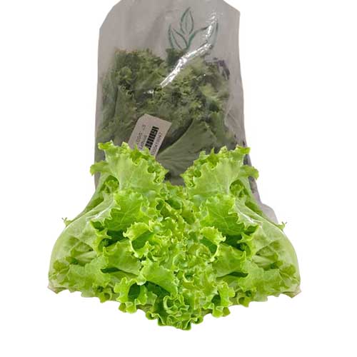 LETTUCE 200G AGPAK