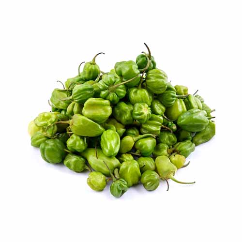 HABENERO PEPPER 250G AGPAK