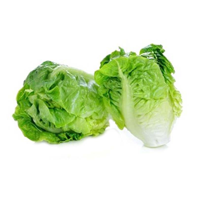 LETTUCE 250G MAPH