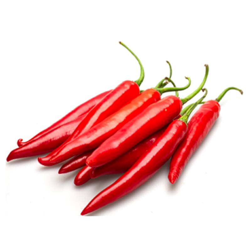 REDCHILLI PEPPER 250G MAPH