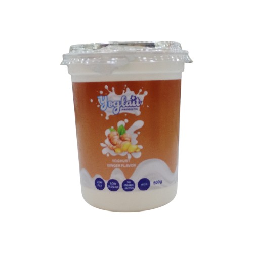 YOGHURT GINGER 500G YOGLAIT