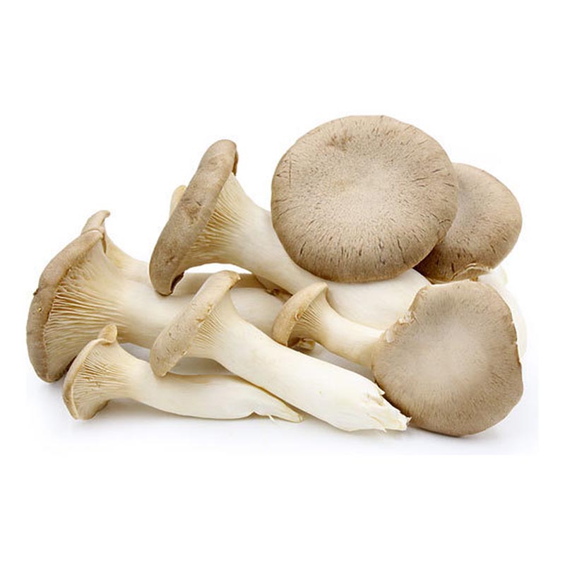 FRESH MUSHROOM 200G IMMAC