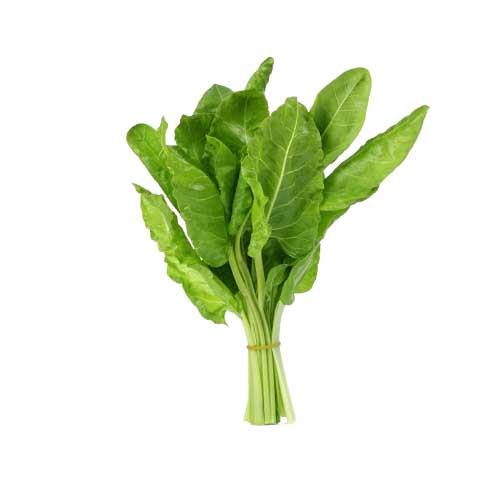FRESH SPINACH SWISS CHARD MALF