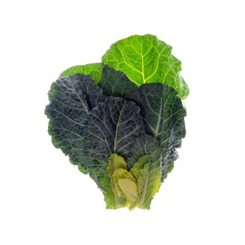 COLLARD ENGLISH GIANT MALF