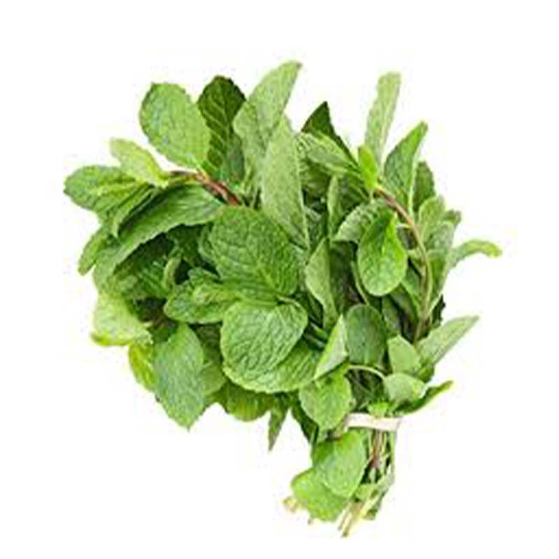 MINT MALAM FOODS MALF