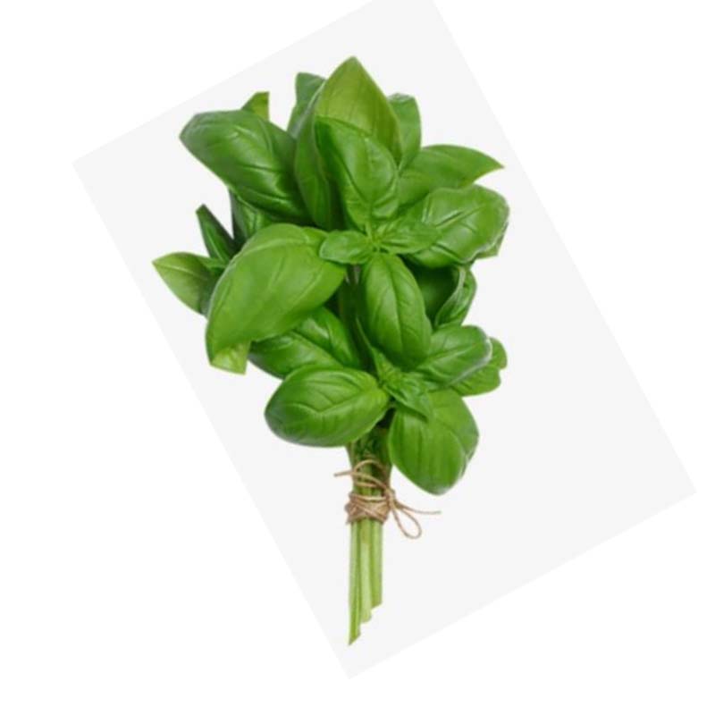 BASIL FOODS MALF