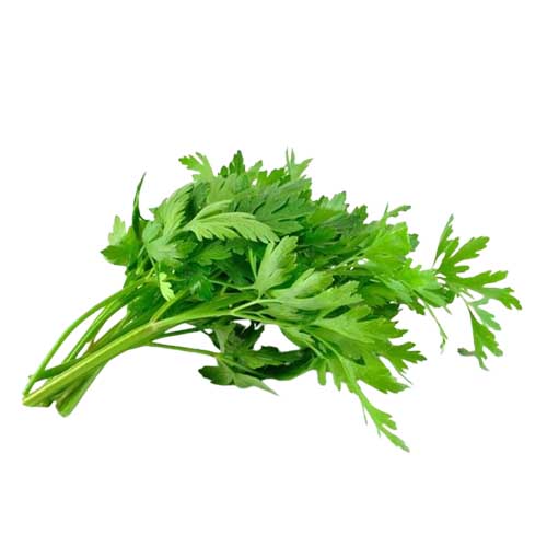 FLAT PARSLY MALF MALOM