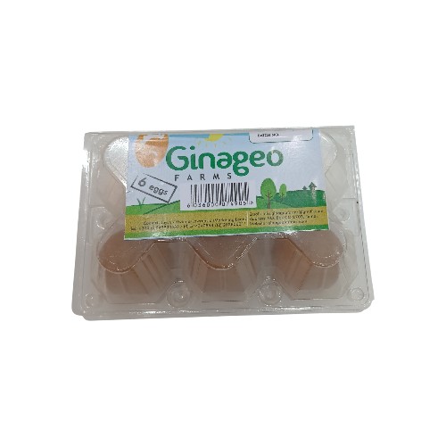 EGG 6PCS GINAGEO
