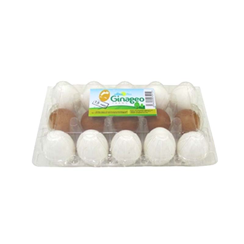 EGGS 15PCS GINAGEO