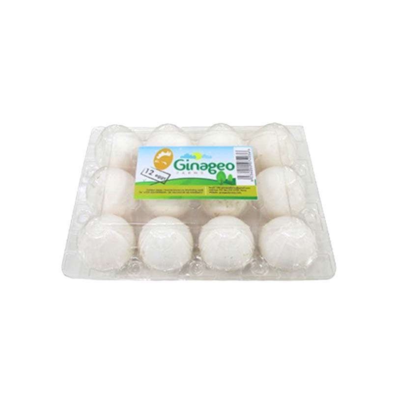 EGGS 12PCS GINAGEO