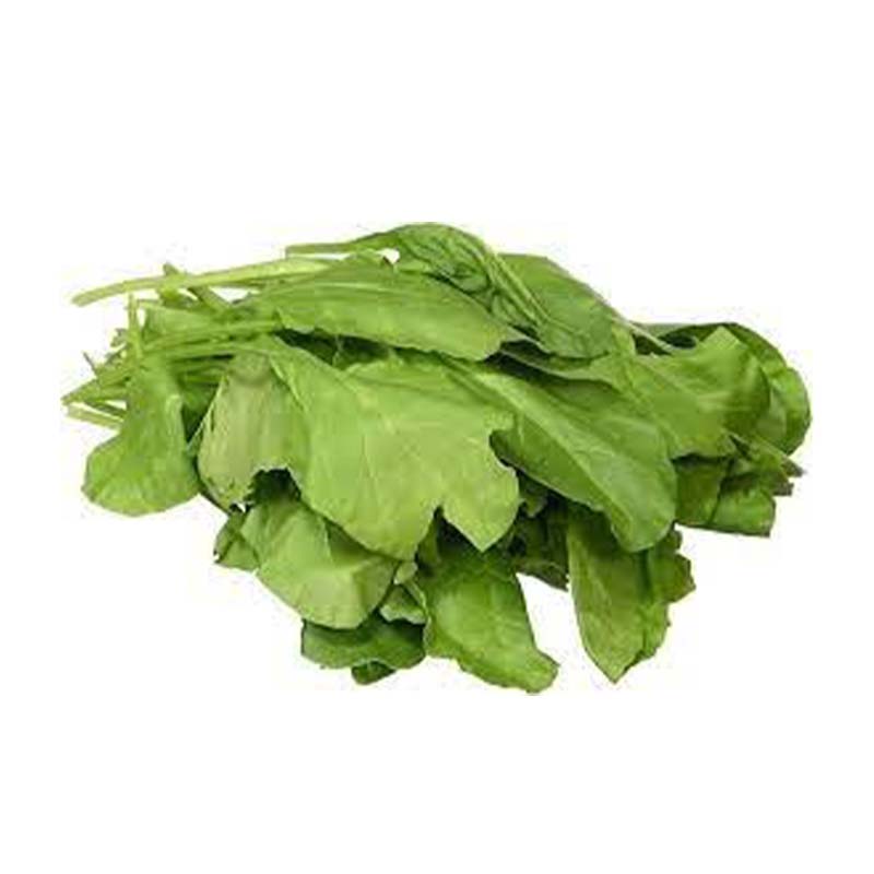 PGS SPINACH 500G BOFAR