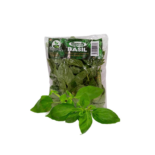 ORGANIC BASIL 50G BOFARA