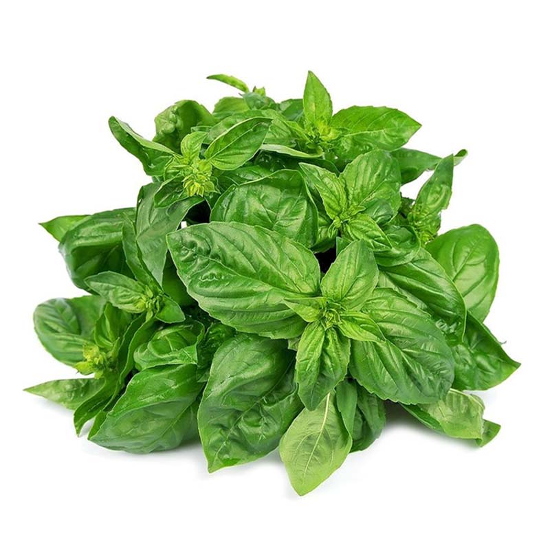 BASIL PACK SPARG