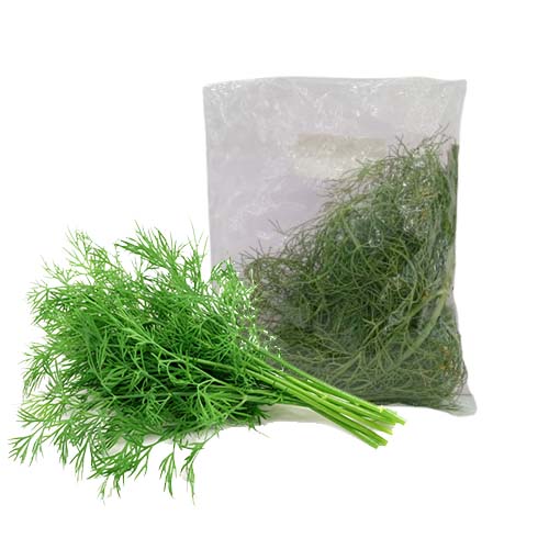 DILL BUNCH 100G SPARG