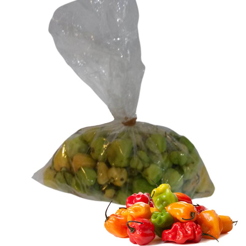 HABANERO PEPPER 300G SPARG