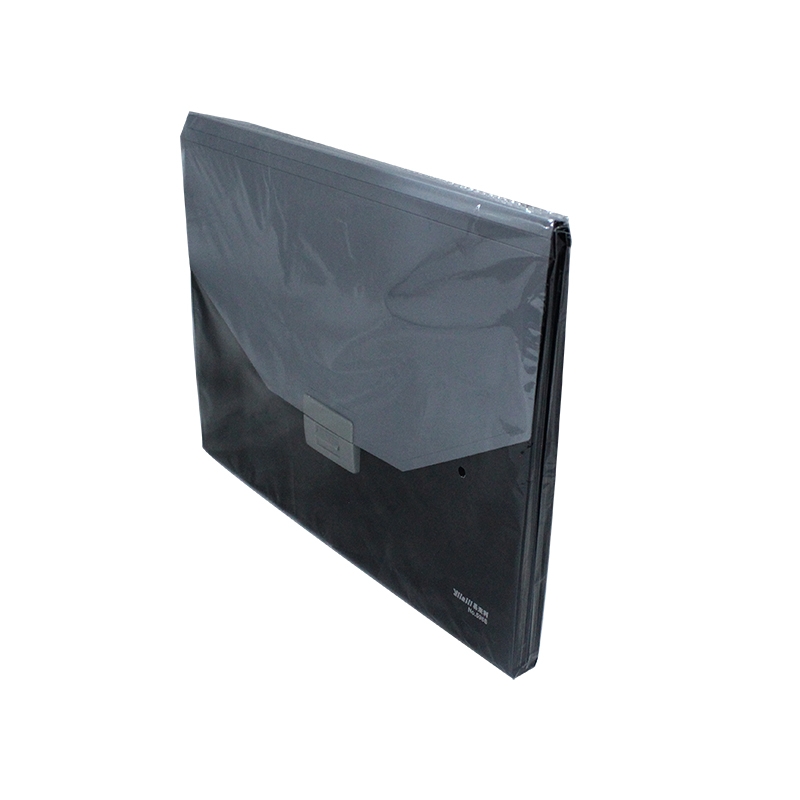 FILE EXPANDING A-4 PLASTIC 5968