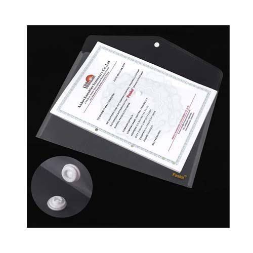 FOSKA CLEAR FILE BAG BUCKLE WB2