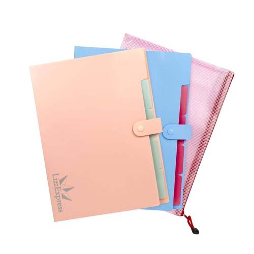 FOSKA EXPANDING A4 FILE BAG DF1