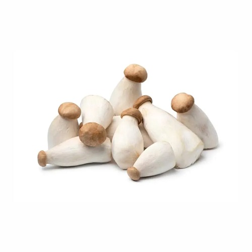 KING OYSTER MUSHROOM 250G SUN