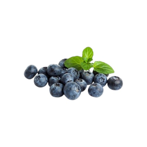 BLUEBERRIES LIDDED 125G