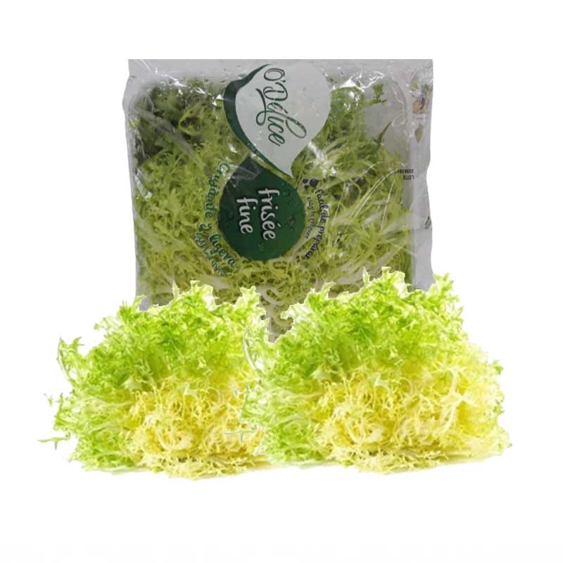 LETTUCE FRISEE YELLOW PP