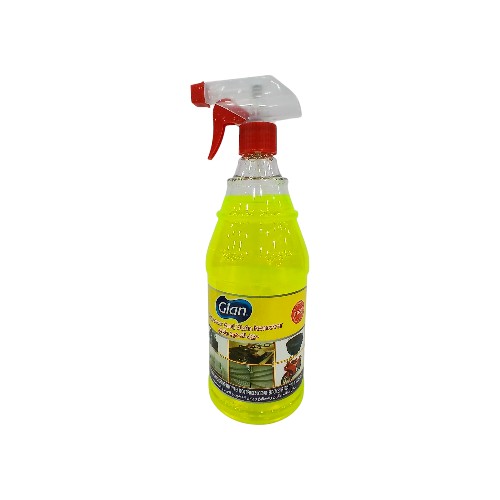 GIAN DEGREASERSTAIN REMOVER SPR