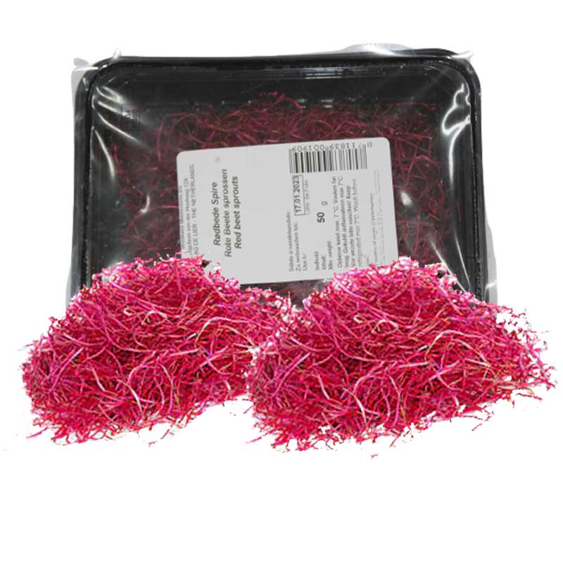 SPROUTS BEETROOT