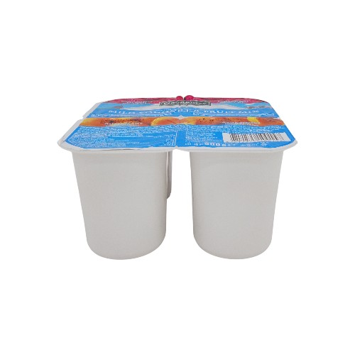 GOODBURRY YOGURT MIXED FRUIT 4P