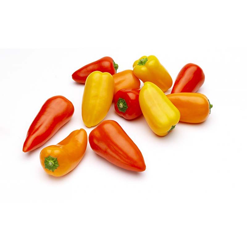 TINKERBELL CAPSICUM MIX 150G