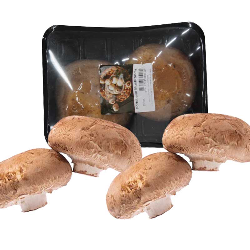 MUSHROOM PORTOBELLO