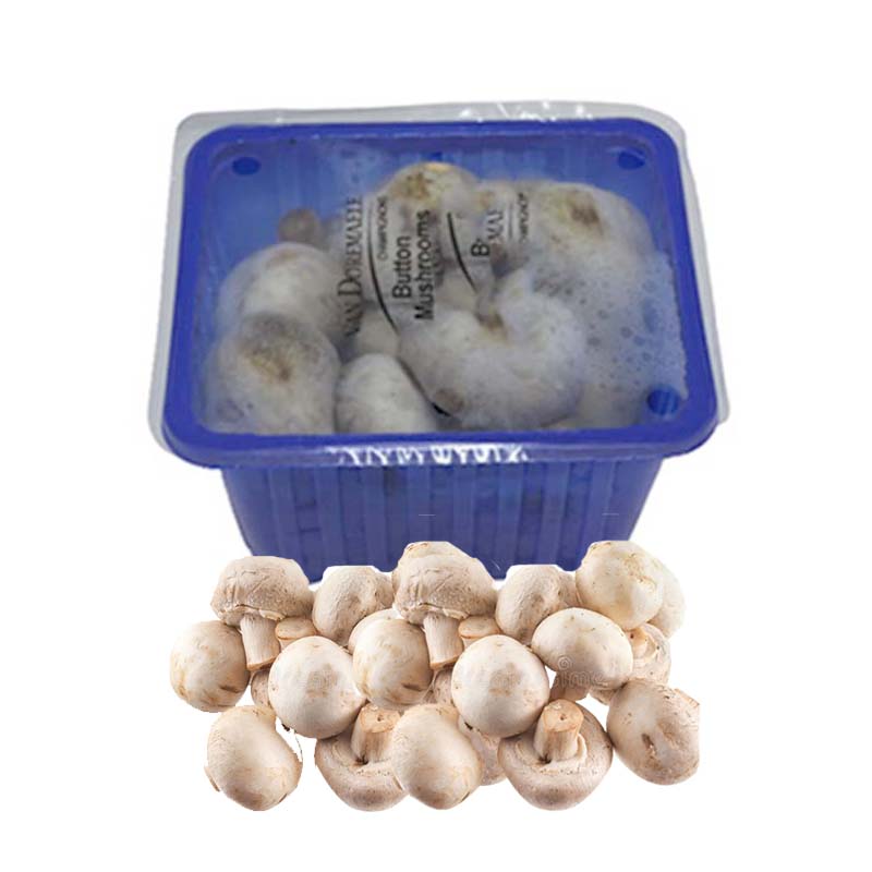 MUSHROOM BUTTON (SMALL) SEAL