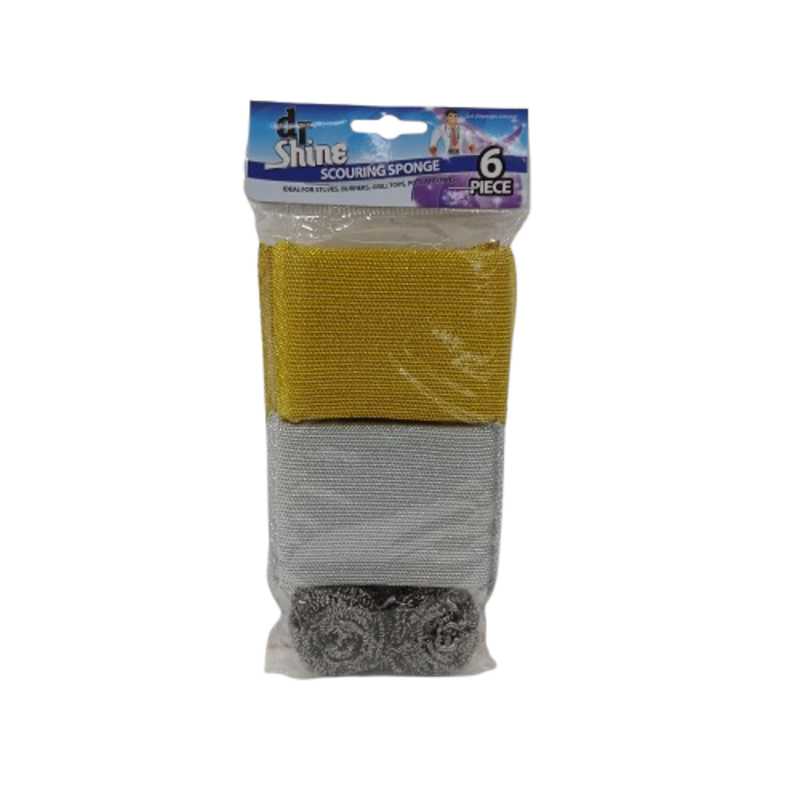 UBL CLEANING SCOURER 6 PIECE PA